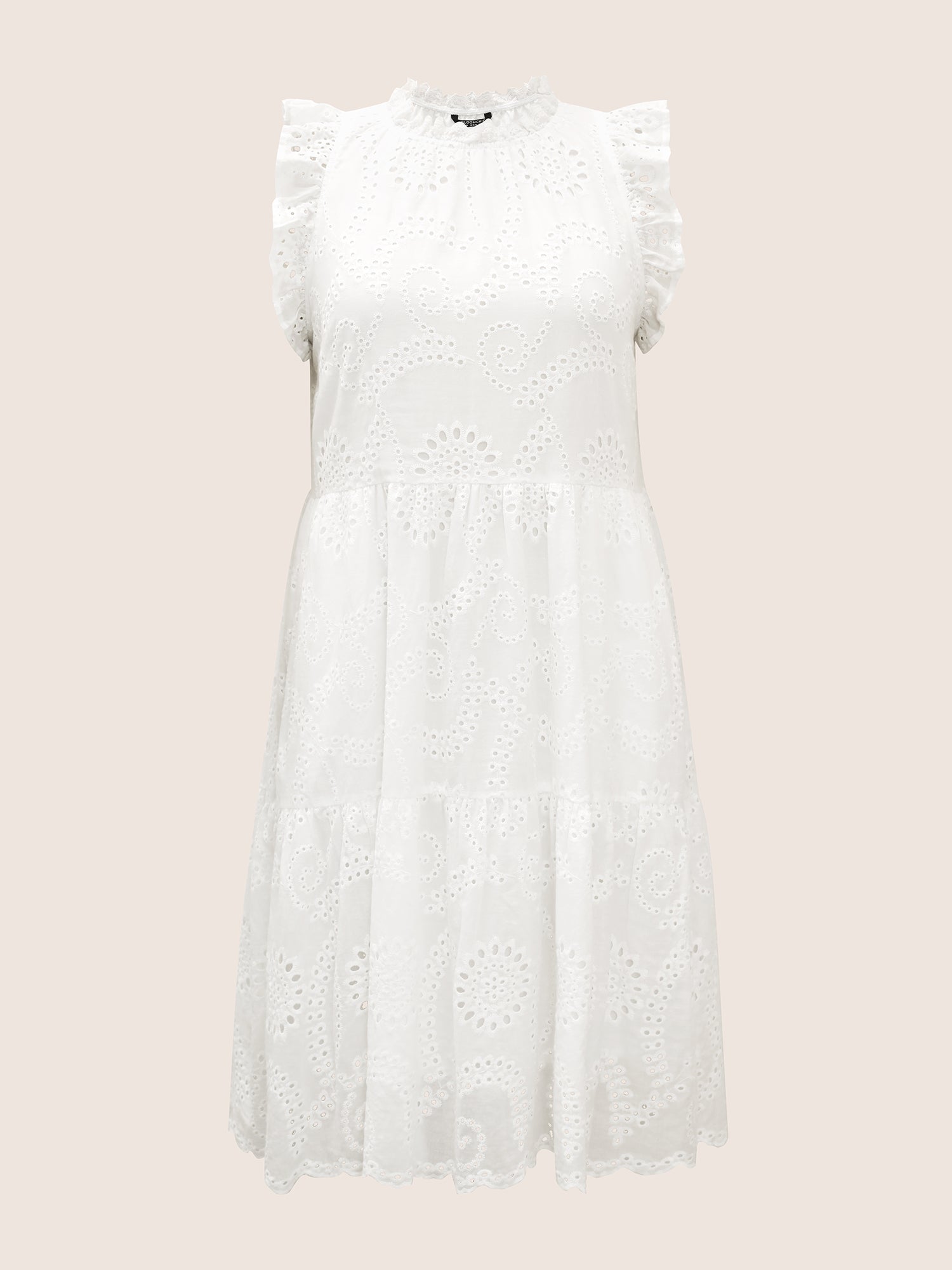 Mock Neck Broderie Anglaise Ruffle Trim Dress